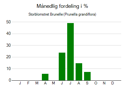 Storblomstret Brunelle - månedlig fordeling