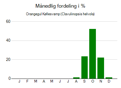 Orangegul Køllesvamp - månedlig fordeling
