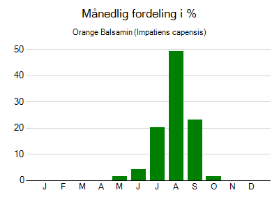 Orange Balsamin - månedlig fordeling