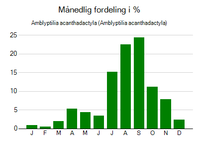 Amblyptilia acanthadactyla - månedlig fordeling