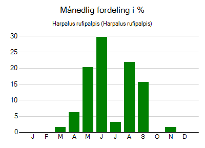 Harpalus rufipalpis - månedlig fordeling
