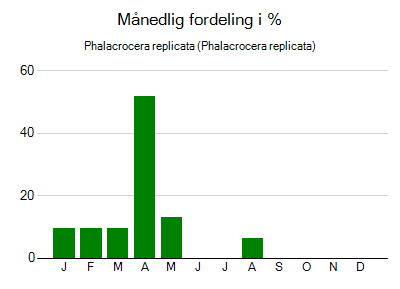 Phalacrocera replicata - månedlig fordeling