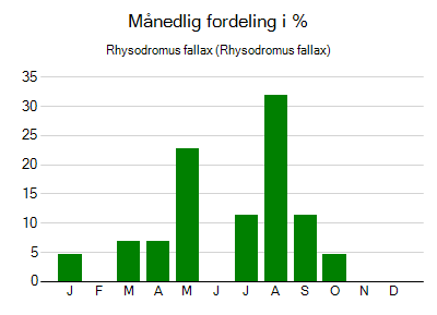 Rhysodromus fallax - månedlig fordeling