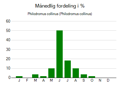 Philodromus collinus - månedlig fordeling