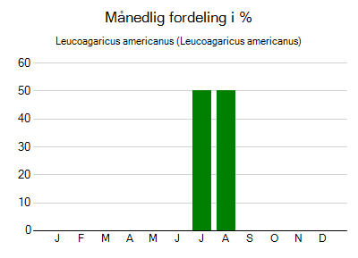 Leucoagaricus americanus - månedlig fordeling