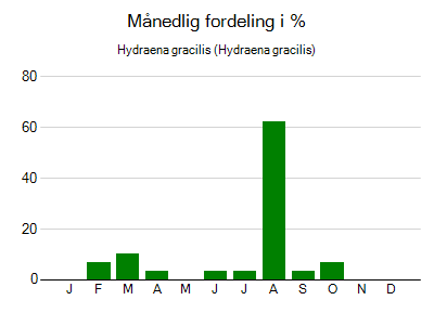 Hydraena gracilis - månedlig fordeling