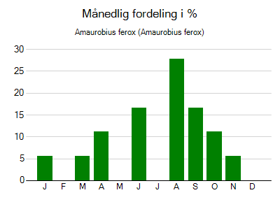 Amaurobius ferox - månedlig fordeling