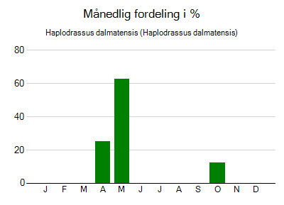 Haplodrassus dalmatensis - månedlig fordeling
