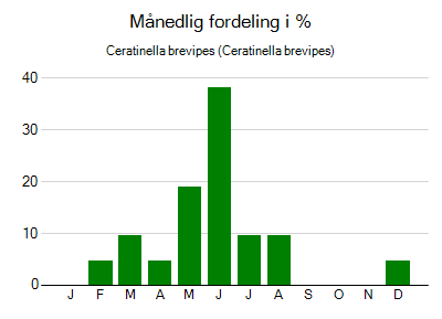 Ceratinella brevipes - månedlig fordeling