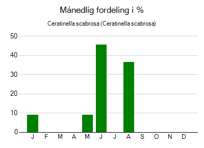 Ceratinella scabrosa - månedlig fordeling