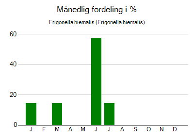 Erigonella hiemalis - månedlig fordeling