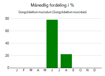 Gongylidiellum murcidum - månedlig fordeling