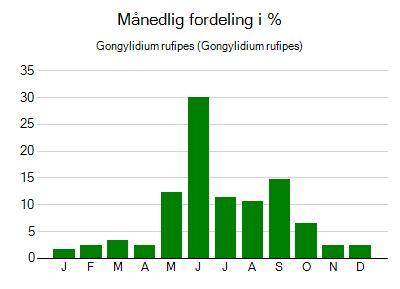 Gongylidium rufipes - månedlig fordeling