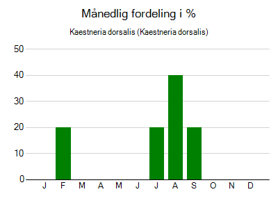 Kaestneria dorsalis - månedlig fordeling