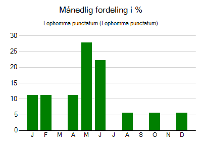 Lophomma punctatum - månedlig fordeling