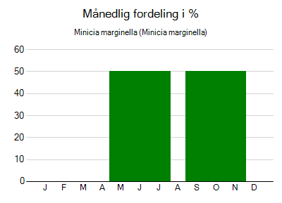 Minicia marginella - månedlig fordeling