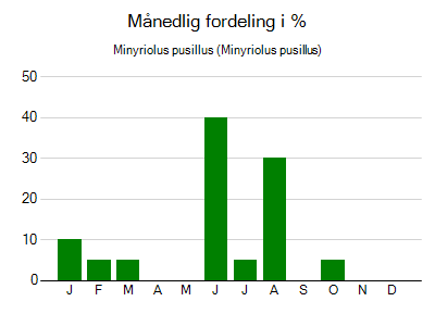 Minyriolus pusillus - månedlig fordeling
