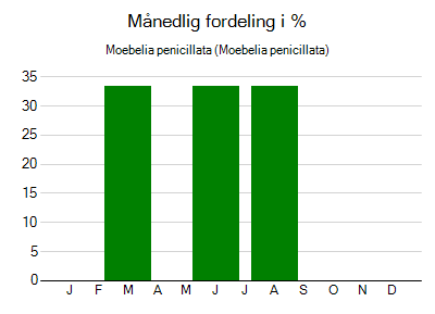 Moebelia penicillata - månedlig fordeling