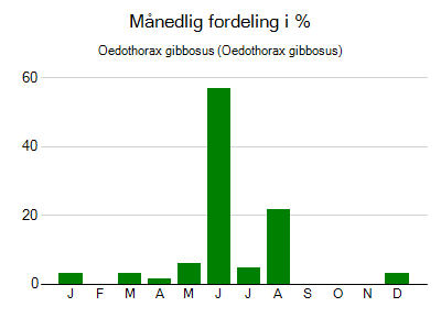 Oedothorax gibbosus - månedlig fordeling