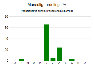 Pocadicnemis pumila - månedlig fordeling