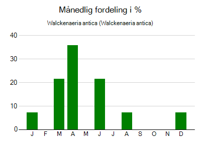 Walckenaeria antica - månedlig fordeling