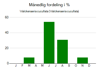 Walckenaeria cucullata - månedlig fordeling
