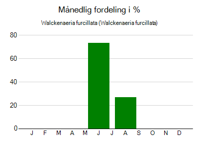 Walckenaeria furcillata - månedlig fordeling
