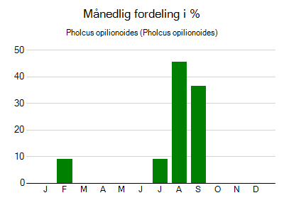 Pholcus opilionoides - månedlig fordeling