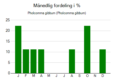 Pholcomma gibbum - månedlig fordeling