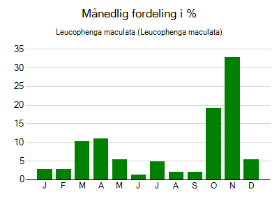 Leucophenga maculata - månedlig fordeling