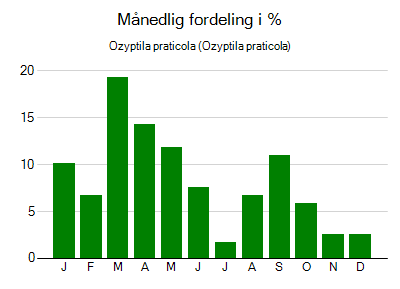 Ozyptila praticola - månedlig fordeling