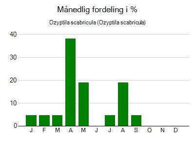 Ozyptila scabricula - månedlig fordeling
