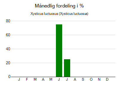 Xysticus luctuosus - månedlig fordeling