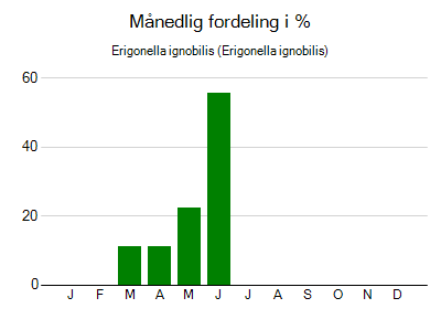 Erigonella ignobilis - månedlig fordeling