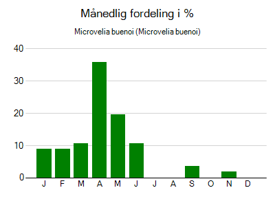 Microvelia buenoi - månedlig fordeling