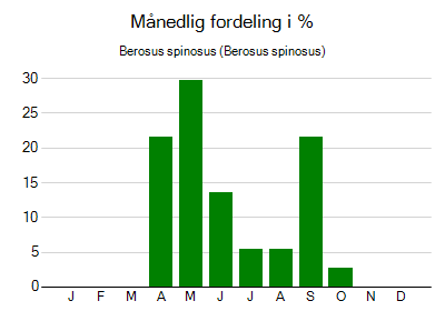 Berosus spinosus - månedlig fordeling