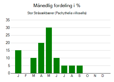 Stor Stråsækbærer - månedlig fordeling