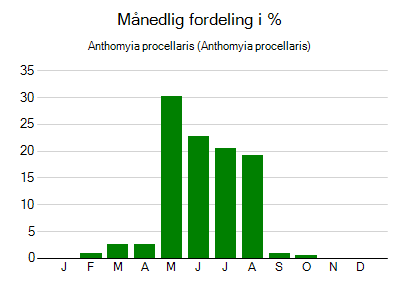 Anthomyia procellaris - månedlig fordeling