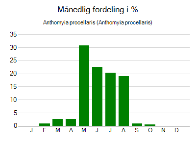 Anthomyia procellaris - månedlig fordeling