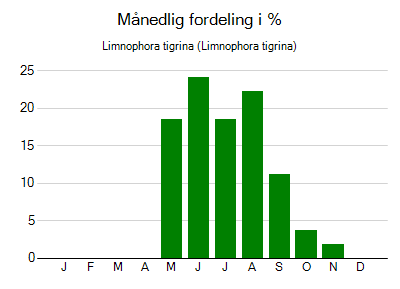 Limnophora tigrina - månedlig fordeling