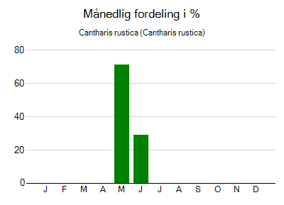 Cantharis rustica - månedlig fordeling