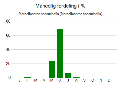 Mordellochroa abdominalis - månedlig fordeling