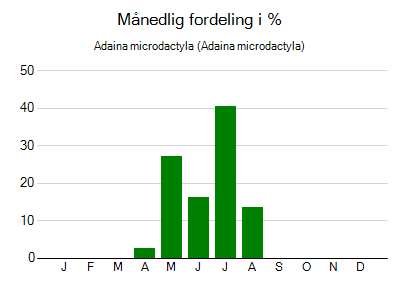 Adaina microdactyla - månedlig fordeling