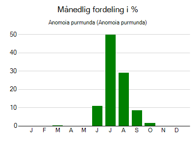 Anomoia purmunda - månedlig fordeling