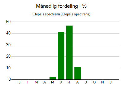 Clepsis spectrana - månedlig fordeling