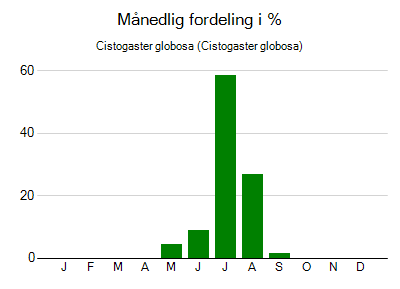 Cistogaster globosa - månedlig fordeling
