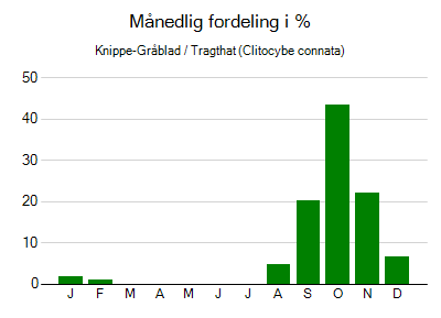 Knippe-Gråblad / Tragthat - månedlig fordeling