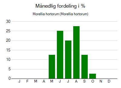 Morellia hortorum - månedlig fordeling