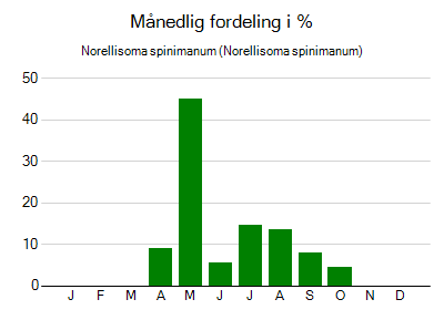 Norellisoma spinimanum - månedlig fordeling