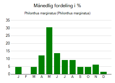 Philonthus marginatus - månedlig fordeling
